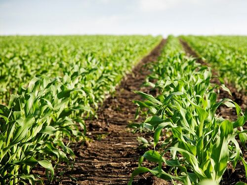 Assosomm: contro il caporalato bisogna coinvolgere l'intera filiera