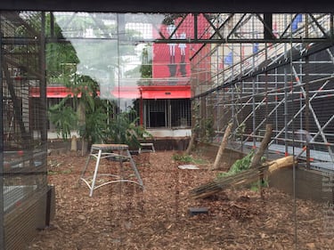 A Berlino spunta un'arena con le tigri per "mangiare" i rifugiati 4