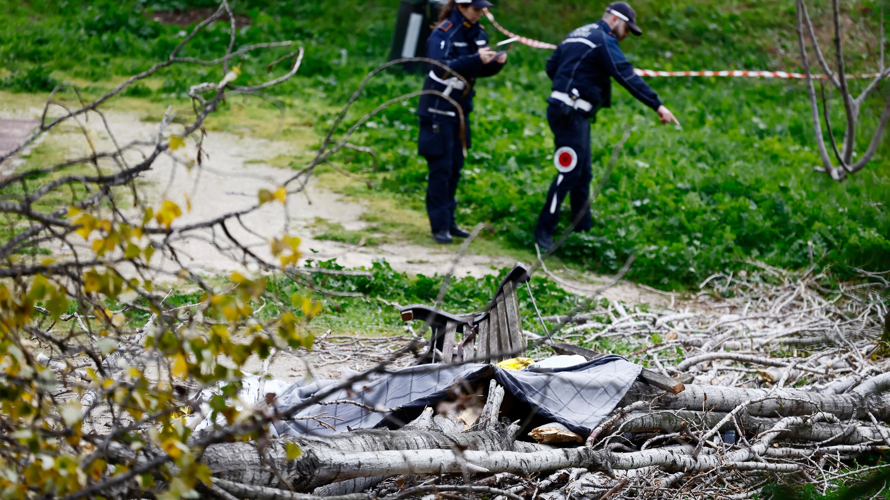 Cade un albero al parco. Donna muore, figli illesi