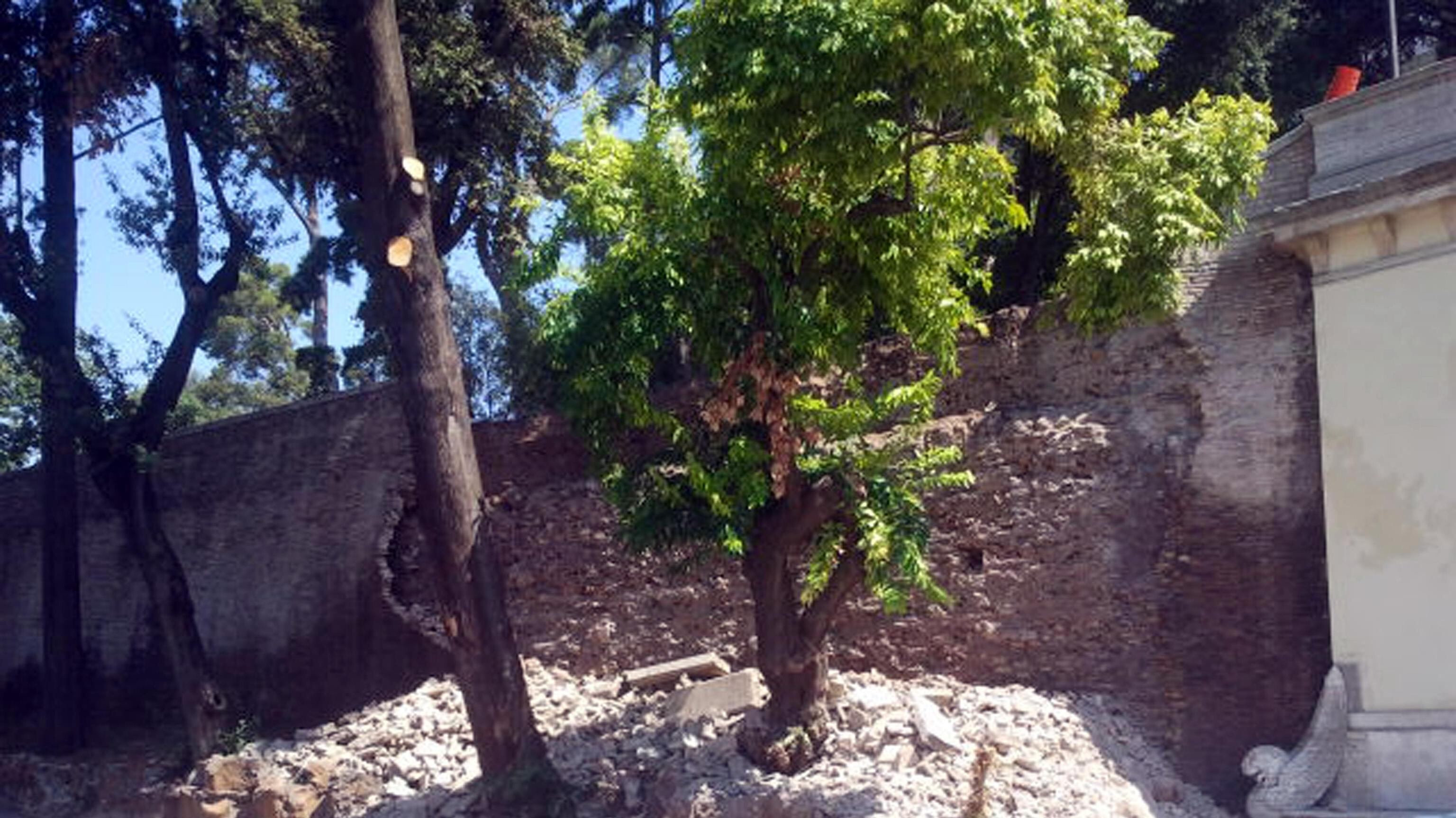 Roma, crolla muro del Pincio. Il sovrintendente: "Colpa delle intemperie"