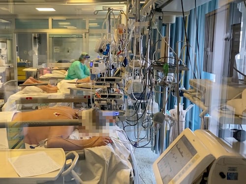 Il braccio di ferro di 2/3 settimane: così l'organismo vince il virus
