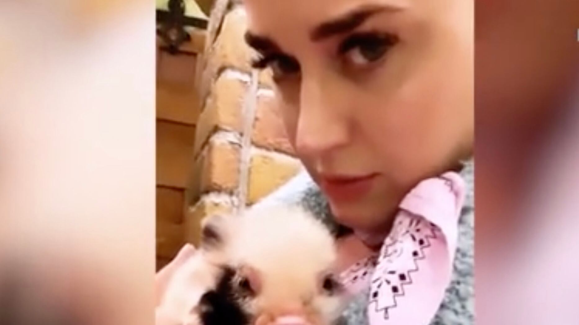 Katy Perry diventa "mamma" di due maialini
