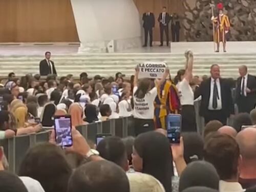 "Basta benedire le corride". E le attiviste assalgono l'auto di Papa Francesco