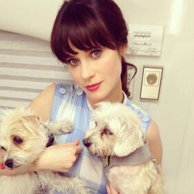 Zooey Deschanel, foto 18