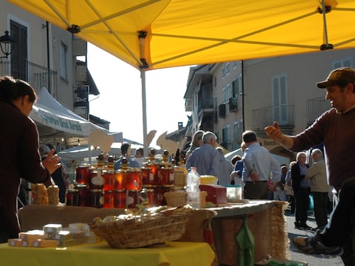 Sommariva del Bosco capitale dei mieli rari