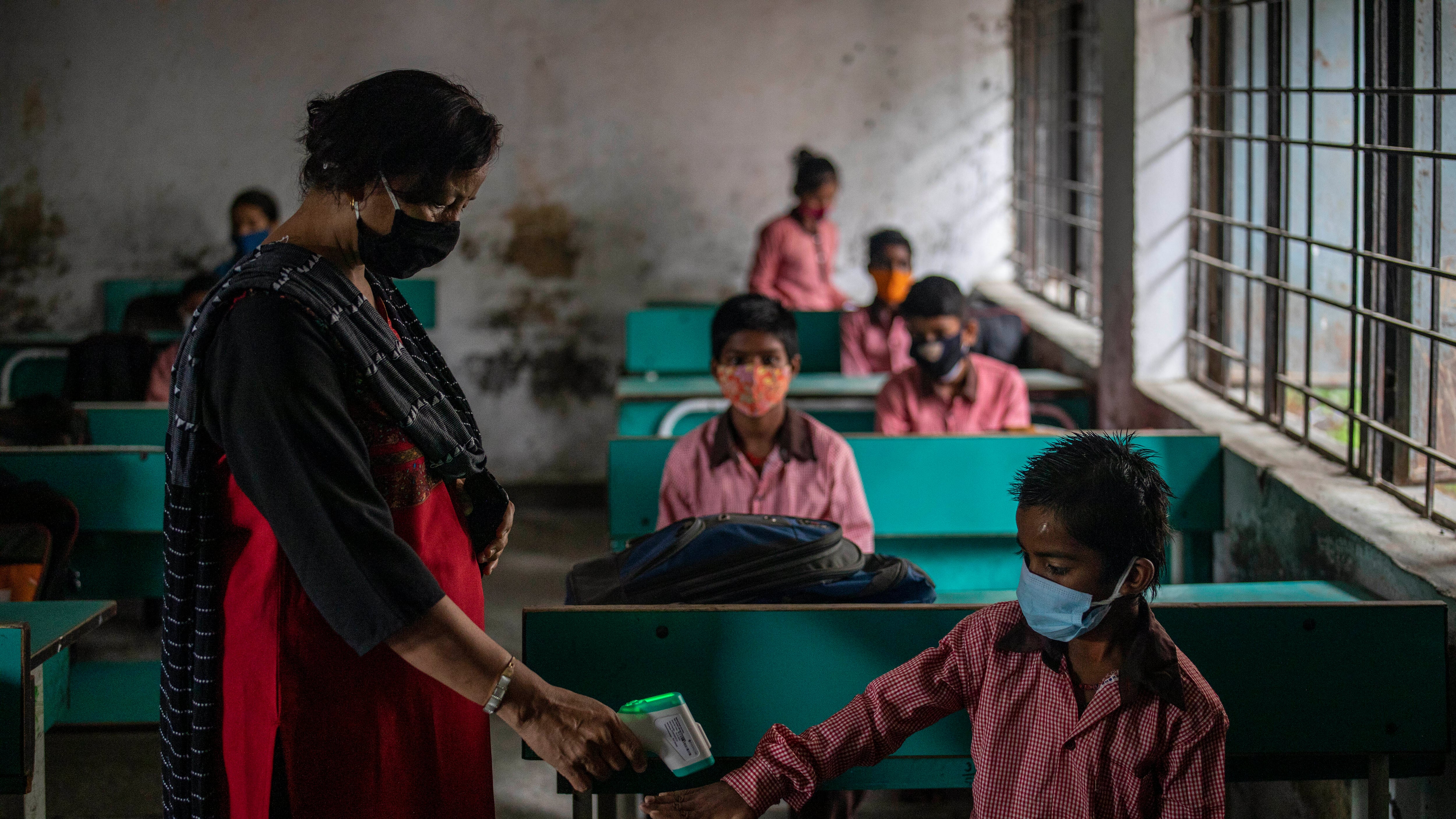Il virus Nipah preoccupa di nuovo l'India: trasmesso dai "pipistrelli della frutta"