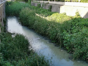 Lungo il corso del fiume Sarno 6