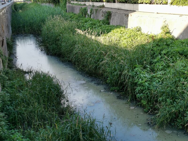 Lungo il corso del fiume Sarno 6