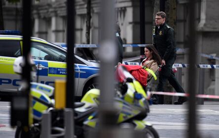 Londra, un'auto sulla folla davanti al museo di storia naturale 21