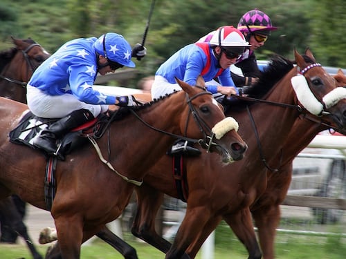 Dopato per vincere una gara di trotto, cavallo da corsa finisce sotto sequestro