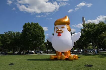 Ora il "Trumpollo" vuole fare i conti con Donald 5