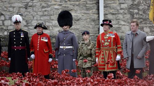 Torre di Londra, il campo di papaveri per l'"Armistice Day" 6