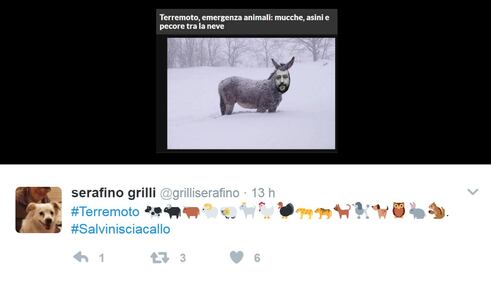 Abruzzo, gli attacchi a Salvini su Twitter 3