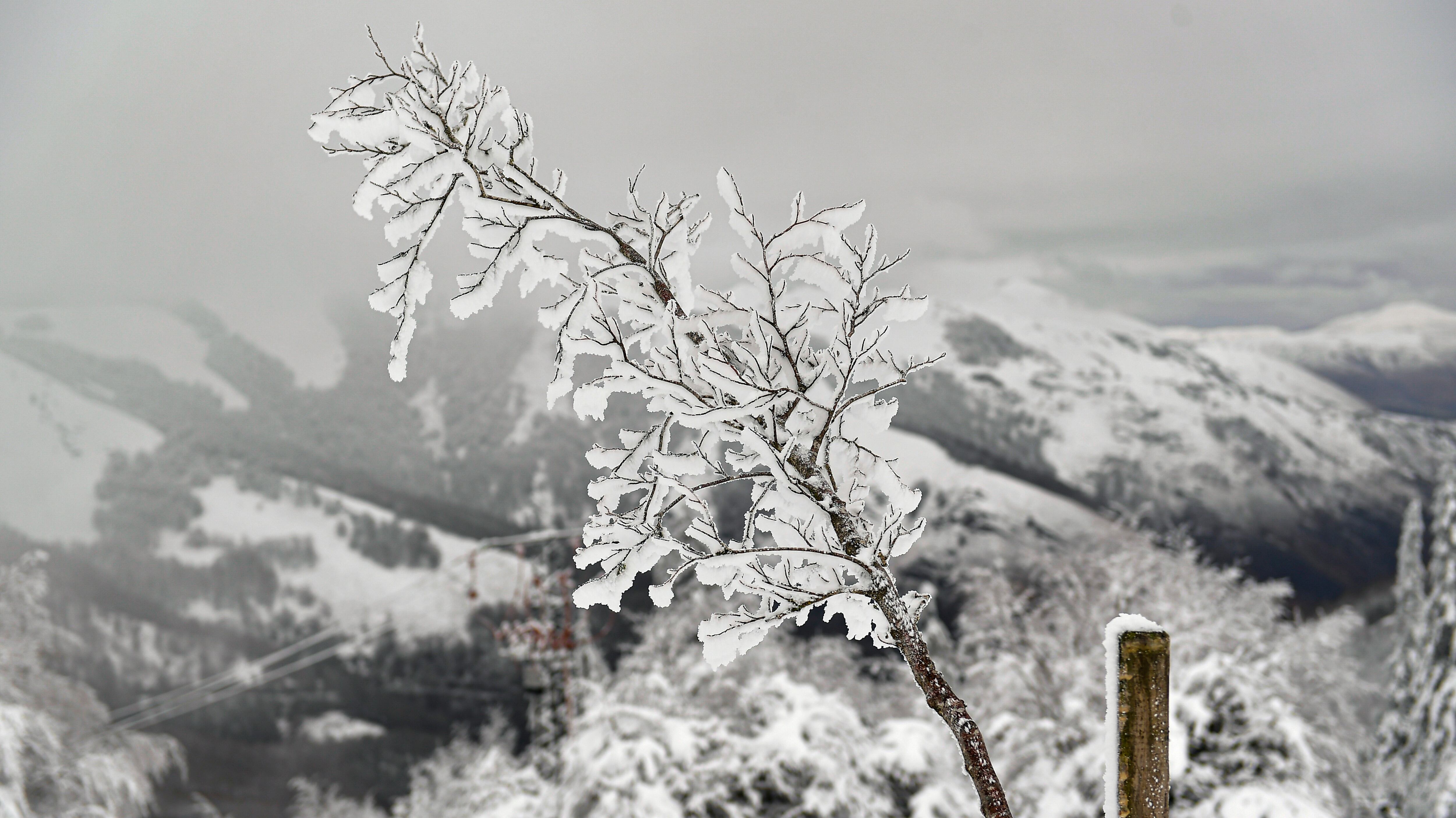 Cambia tutto, in arrivo aria artica: ecco dove arrivano gelo e neve già a metà ottobre
