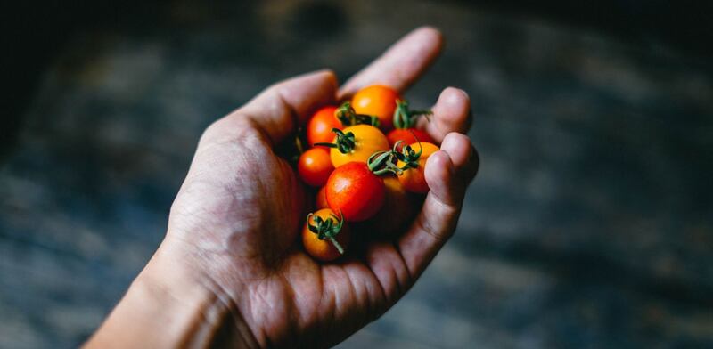 Pomodori