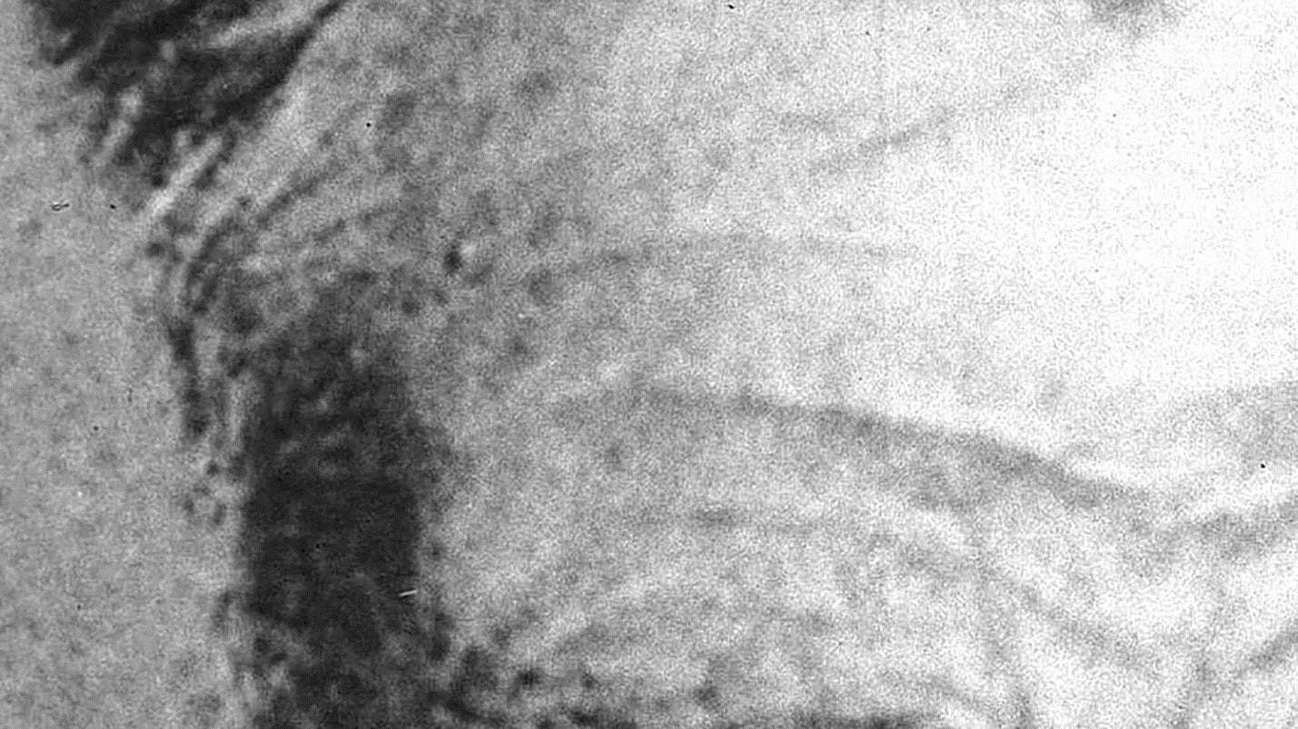 Istantanee dell'assurdo su quelle pièce di Samuel Beckett