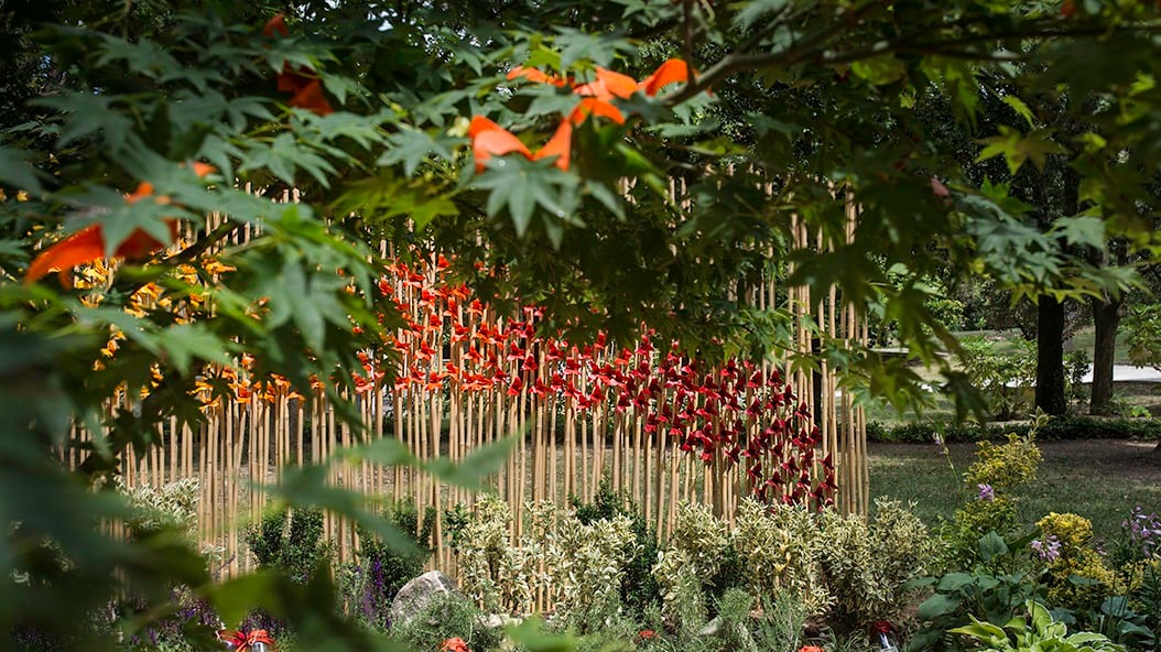 Un Festival dedicato ai giardini