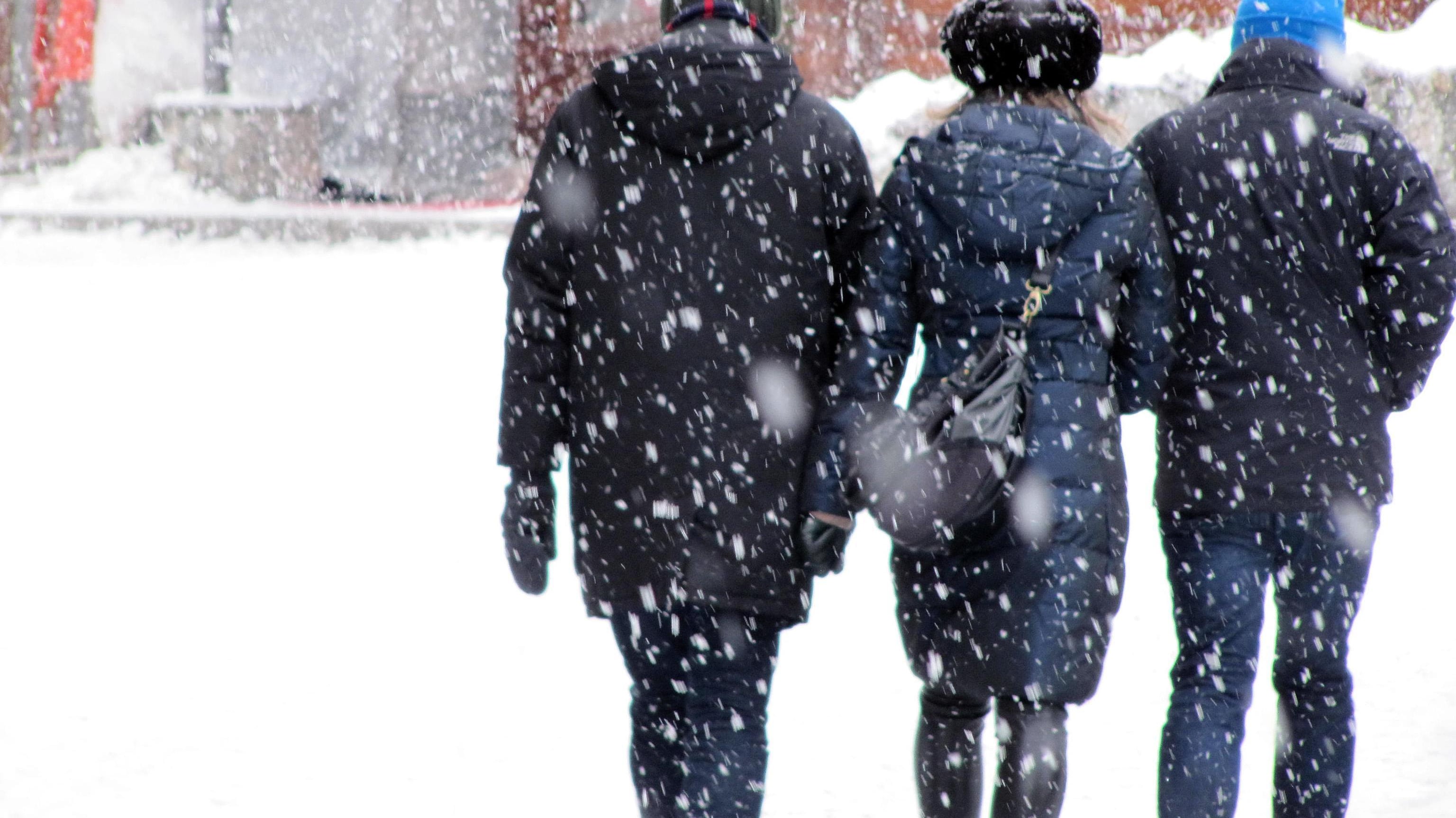 "Avete spostato la neve nella mia proprietà". E uccide i vicini e si ammazza
