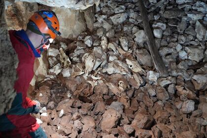 Foibe, gli orrori della storia nelle grotte slovene 1