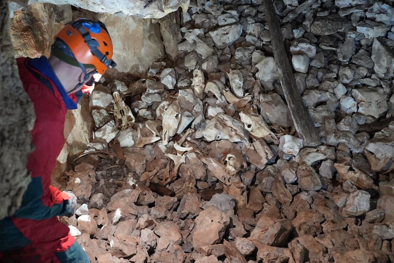 Foibe, gli orrori della storia nelle grotte slovene 1
