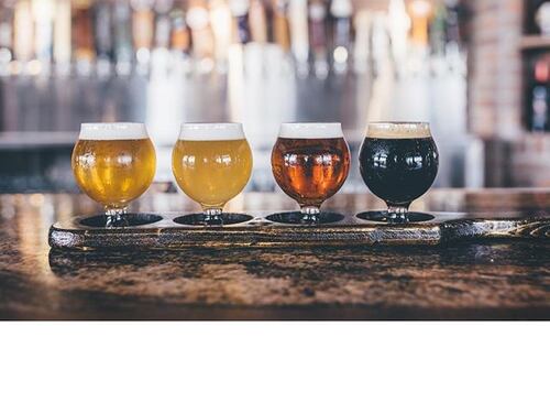 Azienda paga 11mila euro per un'estate a girare il mondo e bere birra