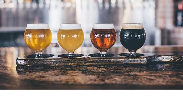 Azienda paga 11mila euro per un'estate a girare il mondo e bere birra