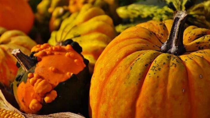 Conserva di zucca fatta in casa al botulino: giovane in fin di vita