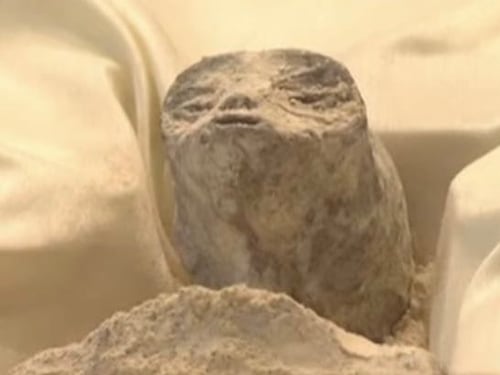 "Non sembrano umani": il video sulle presunte mummie ufo