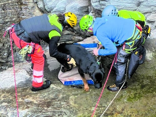 “Il cane è stanco”. Intervento del soccorso alpino a 2.100 metri