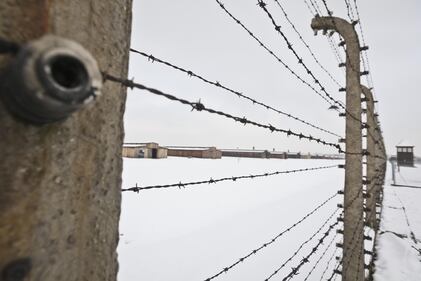 Sopravvissuti ad Auschwitz 10