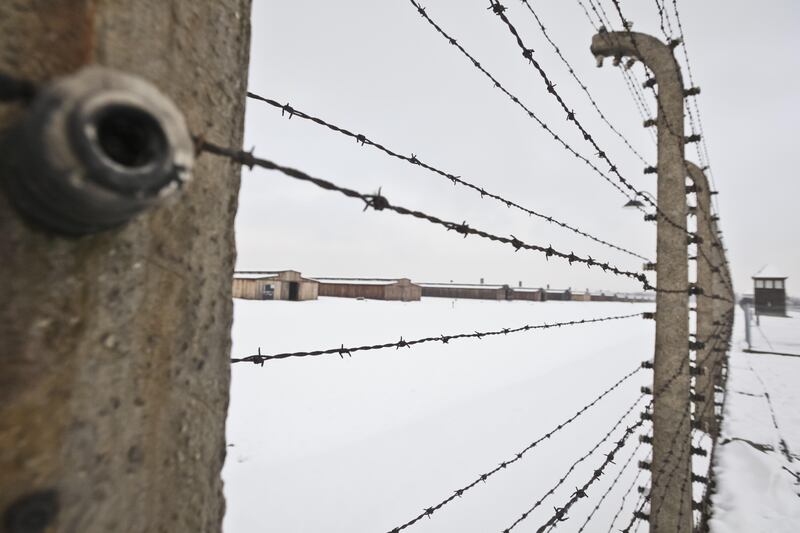 Sopravvissuti ad Auschwitz 10