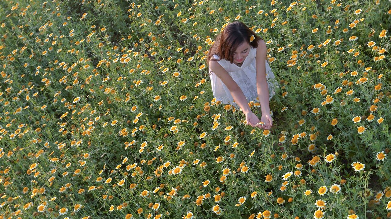 Abbiamo dimenticato il piacere della noia: 7 attività lente che riconnettono con sé stessi
