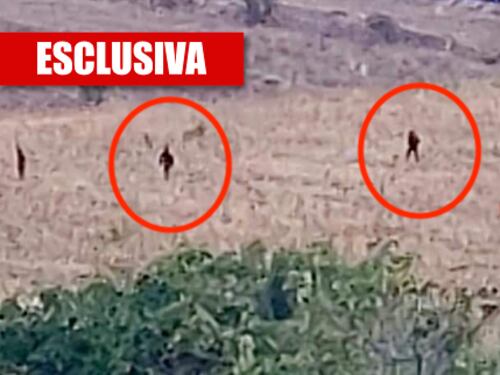 "Così i migranti ci ammazzano". Gli agenti schiacciati nella fuga