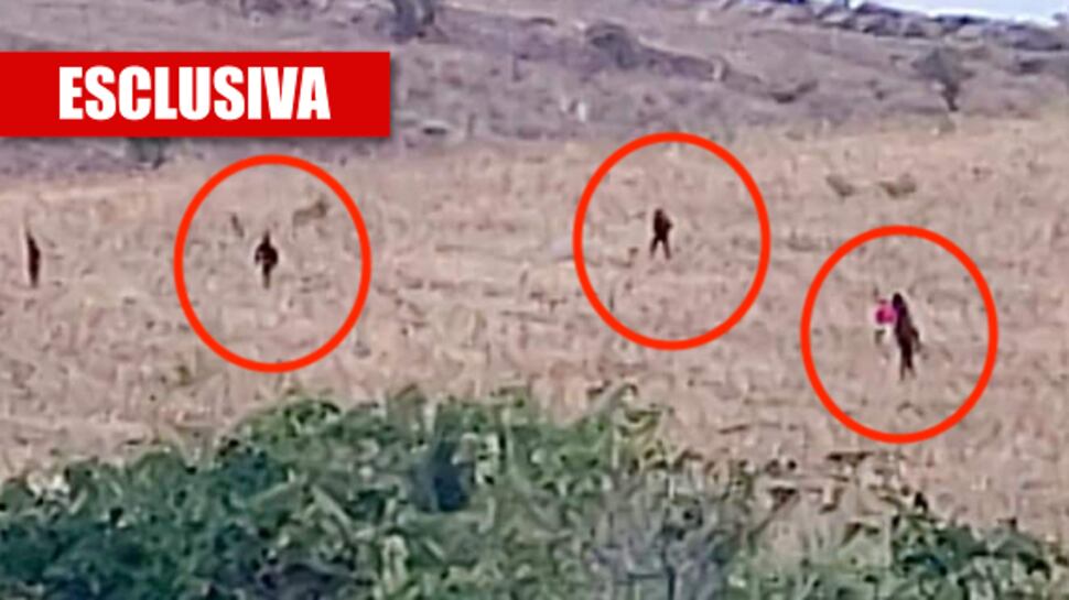 "Così i migranti ci ammazzano". Gli agenti schiacciati nella fuga