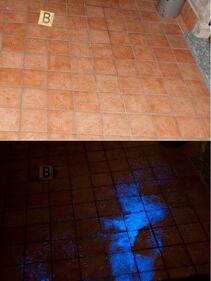 Luminol