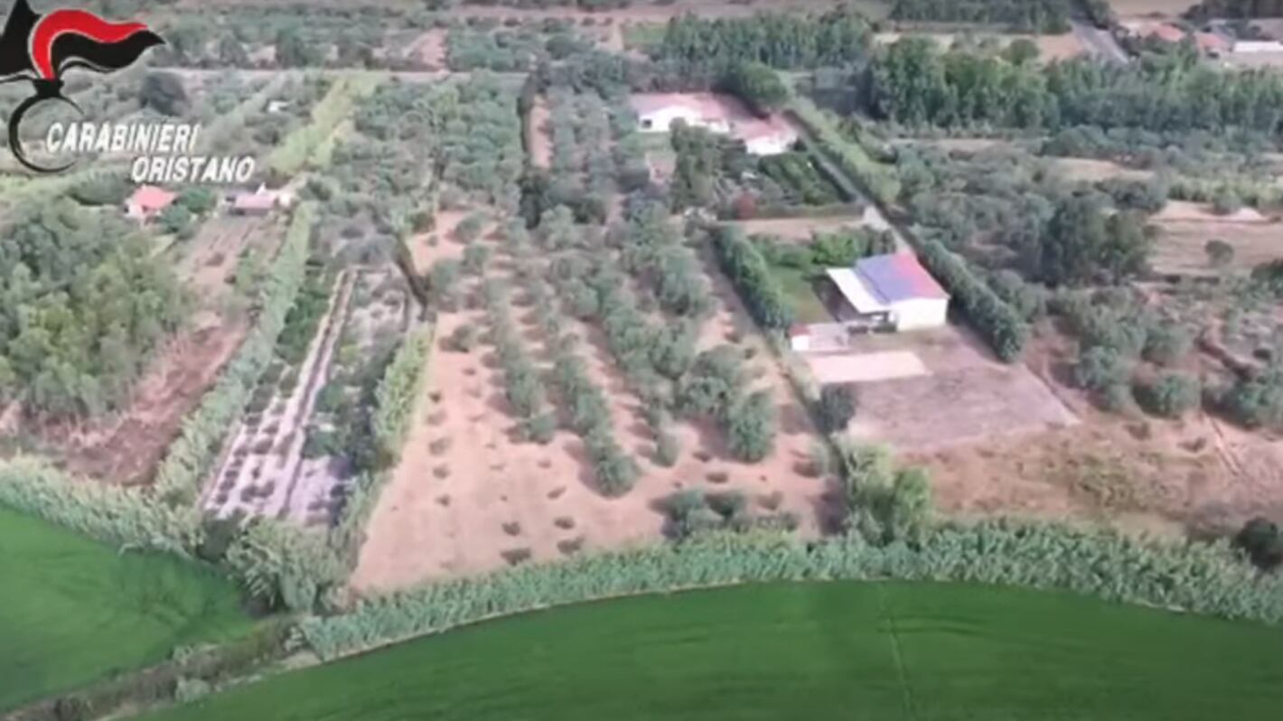 Sgancia cocaina dal cielo ma sbaglia villa, arrestato