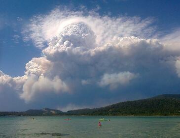 Incendi in Australia, le immagini della devastazione 12