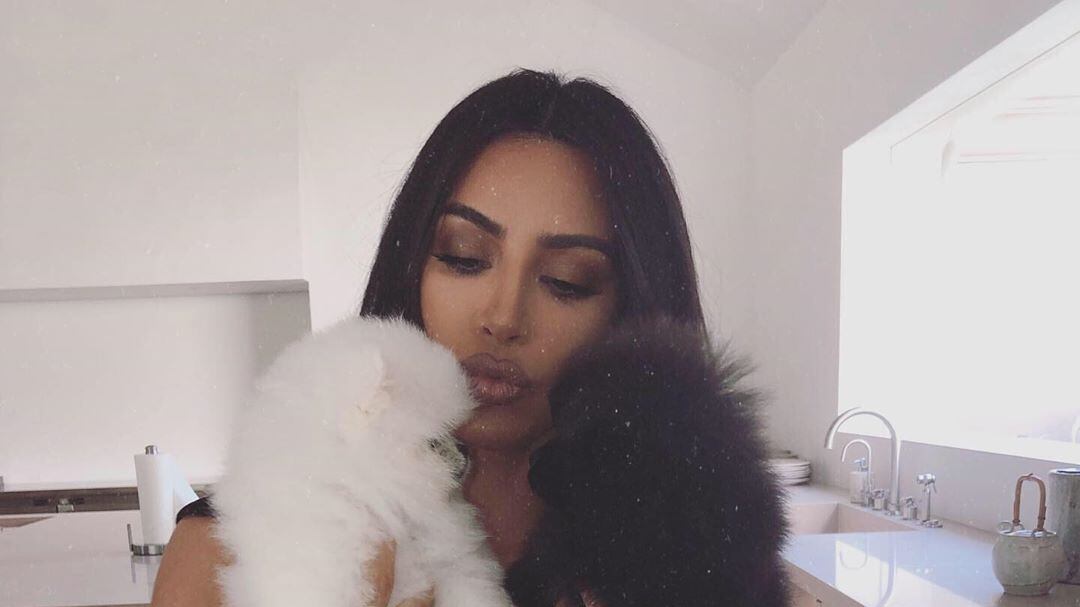 Nuovi cuccioli in casa Kardashian, ma piovono critiche