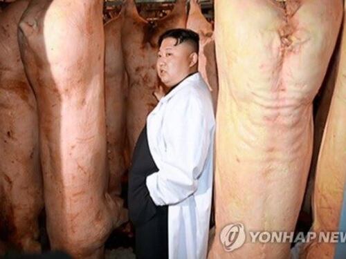 Kim Jong-un minaccia gli Usa poi visita allevamenti di maiali