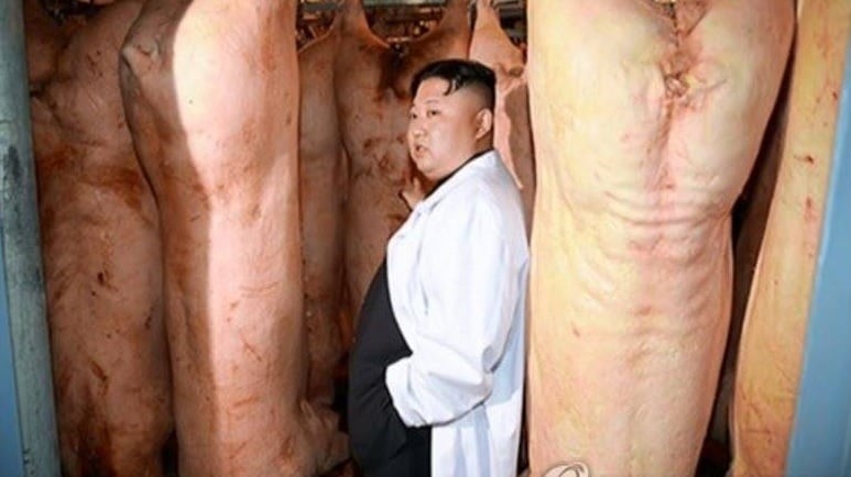 Kim Jong-un minaccia gli Usa poi visita allevamenti di maiali