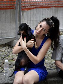 La "Sausage Walk" a Milano: sfilano i bassotti 11