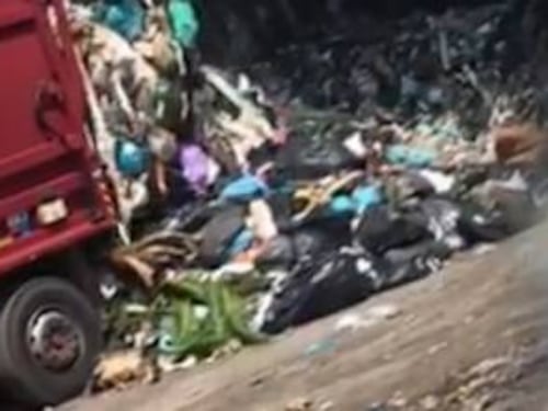 Raggi fa la "green" ma in casa Ama il 92% della flotta va a gasolio