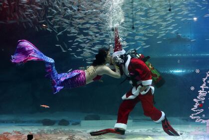 Babbo Natale sott'acqua, con i pesci di Seul 1