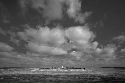 L'anniversario della guerra nelle Falkland 8