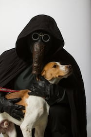 I personaggi di Star Wars per l'adozione degli animali 18
