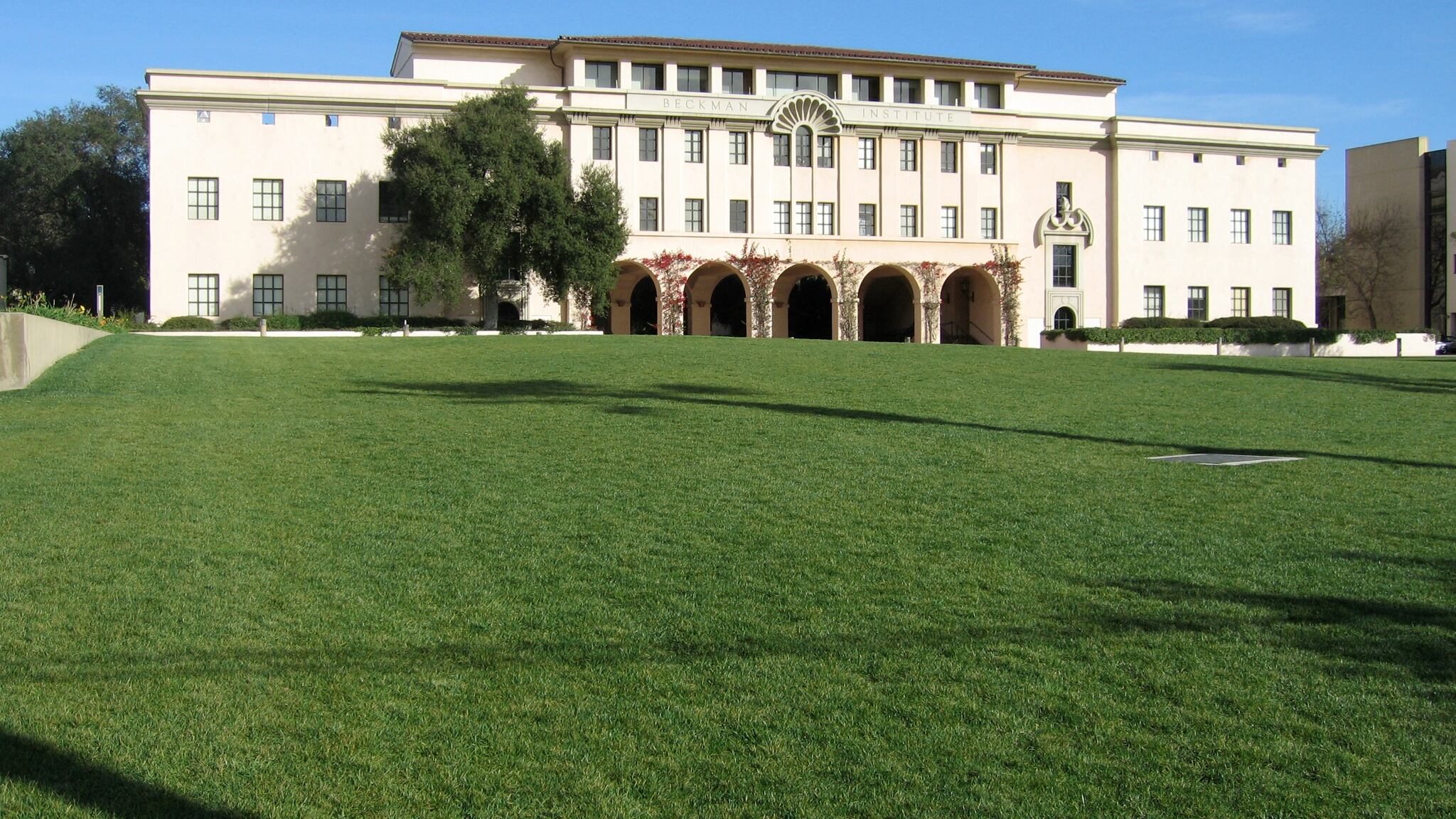 Università al top: resistono Usa e Inghilterra, fiasco per Italia e Spagna