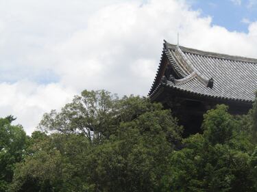 Nara, la perla di Buddha custodita dai cervi 3