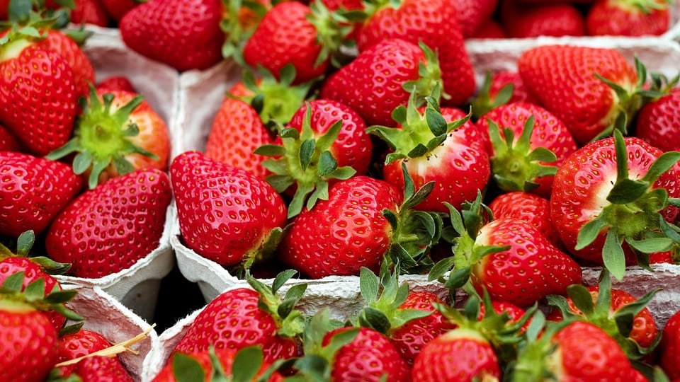 I cibi afrodisiaci per San Valentino