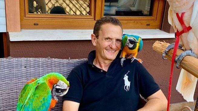 Prende a sassate il pappagallo. Poi aggredisce Enzo Salvi