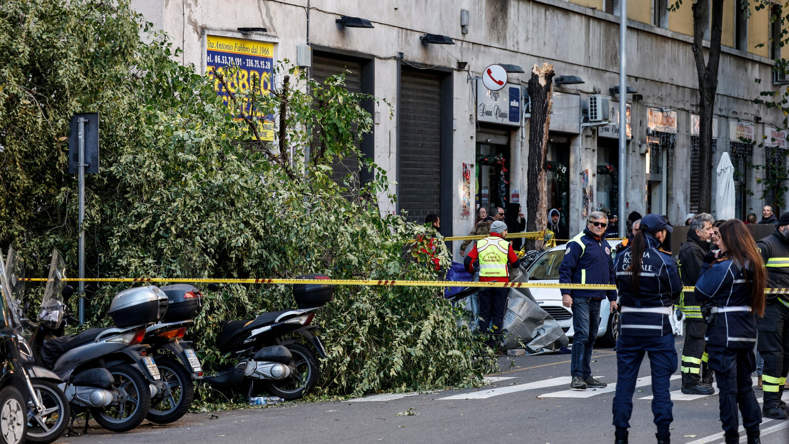 Travolta da un albero mentre passeggiava. 82enne muore a Roma. I residenti: "Potatura? Un miraggio"